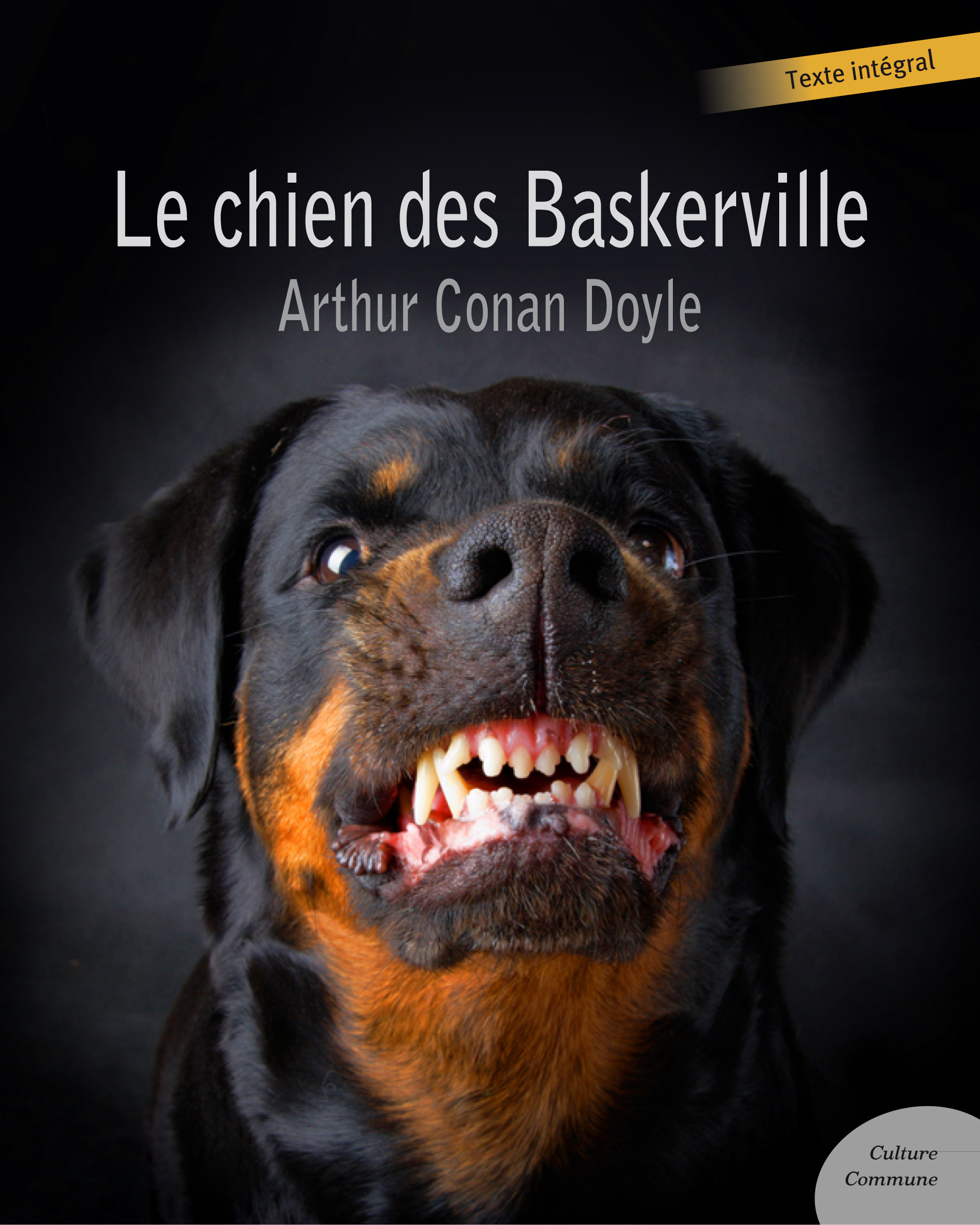 Couverture ebook de Le chien des Baskerville (policier), de Arthur Conan Doyle