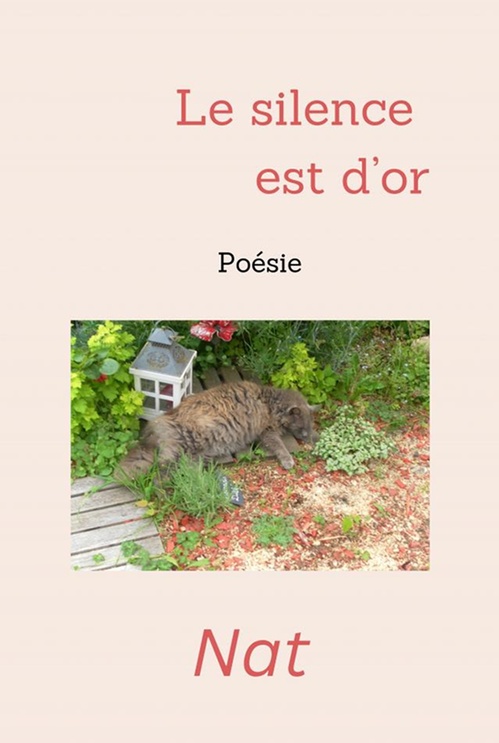 Couverture ebook de Le silence est d'or, de Nathalie Carlier