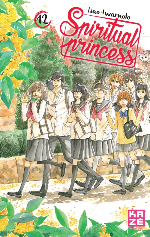 ebook cover of Spiritual Princess T12 (Fin), by Nao Iwamoto
