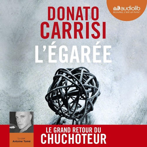 audiobook cover of L'Égarée, by Donato Carrisi