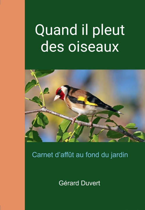 Couverture ebook de Quand il pleut des oiseaux, de Gerard Duvert