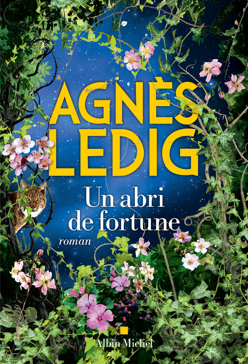 ebook cover of Un abri de fortune, by Agnès Ledig