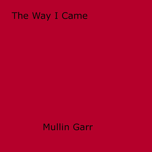 ebook cover of The Way I Came, by Mullin Garr