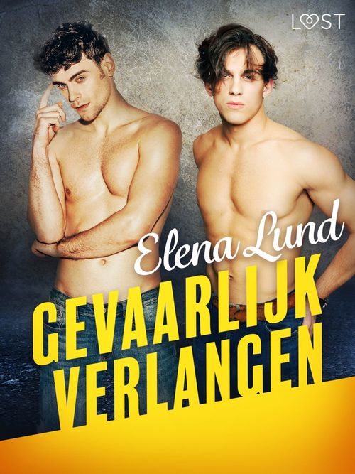 ebook cover of Gevaarlijk verlangen - erotisch verhaal, by Elena Lund