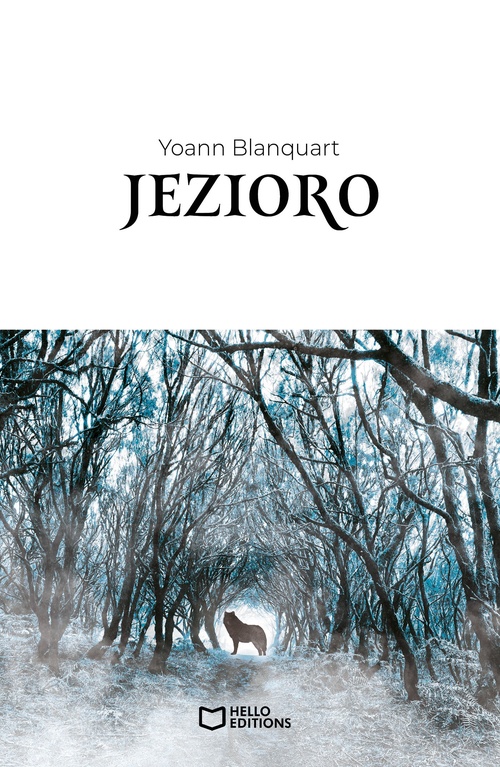 ebook cover of Jezioro, by Yoann Blanquart