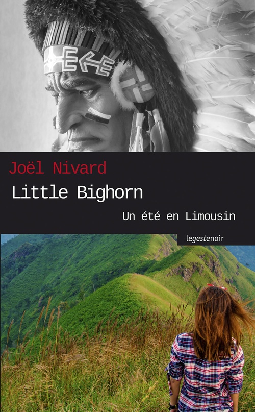 ebook cover of Little Bighorn, by Joël Nivard