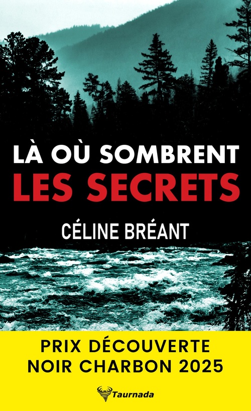 ebook cover of Là où sombrent les secrets, by Céline Bréant