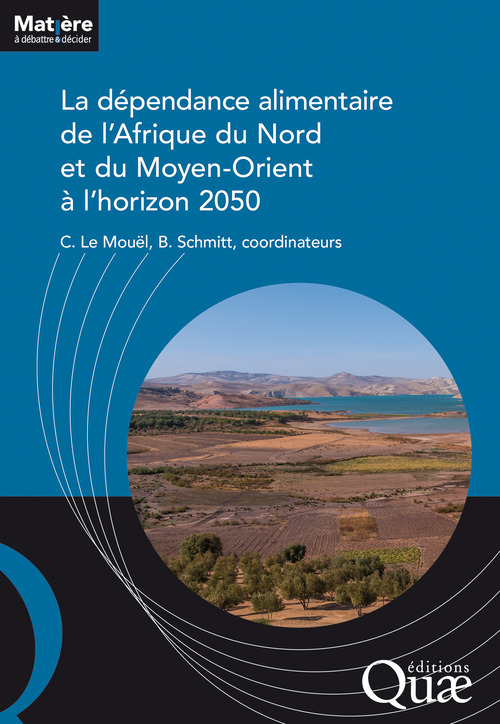 ebook cover of La dépendance alimentaire de l´Afrique du Nord et du Moyen-Orient à l´horizon 2050, by Bertrand Schmitt, Chantal Le Mouël