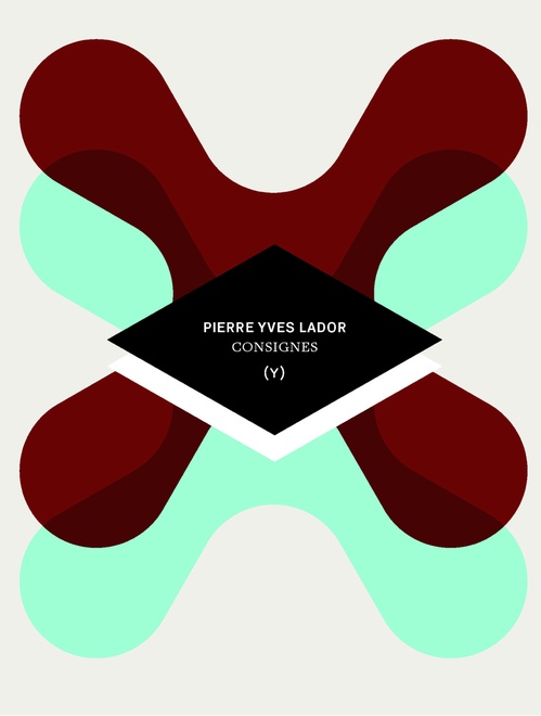 ebook cover of Consignes, by Pierre Yves Lador