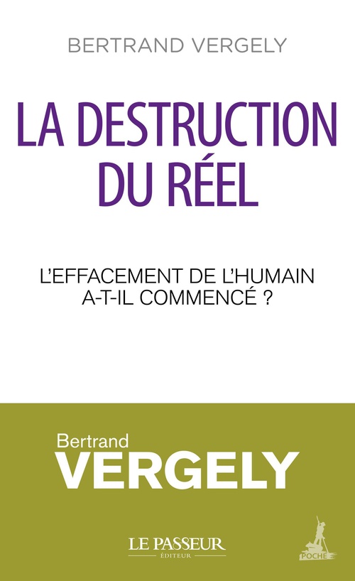 ebook cover of La destruction du réel, by Bertrand Vergely