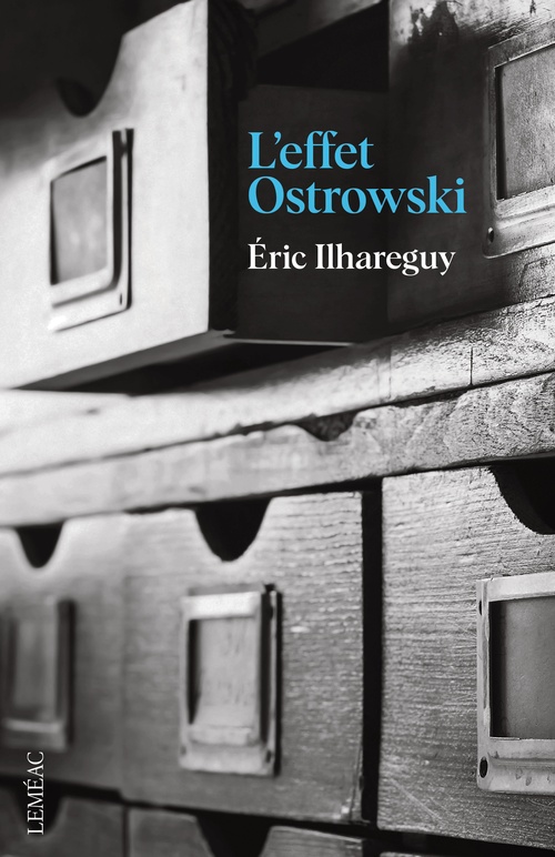 Couverture ebook de L'effet Ostrowski, de Éric Ilhareguy