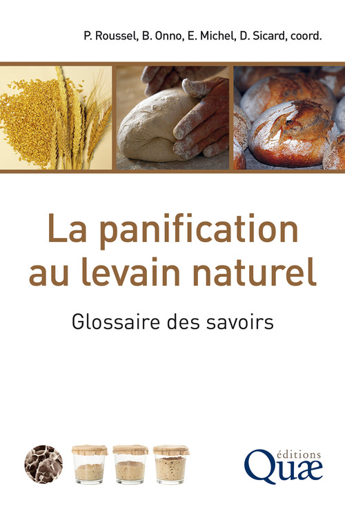 ebook cover of La panification au levain naturel, by Roussel/Onno/Michel