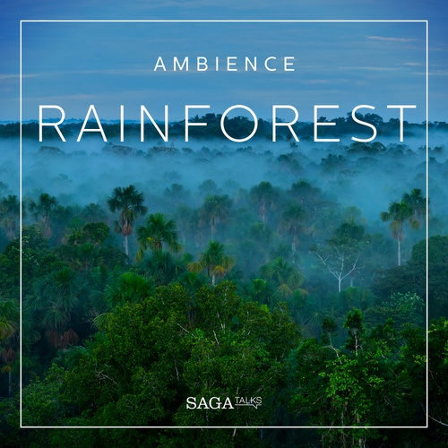 Couverture audiobook de Ambience - Rainforest, de Rasmus Broe