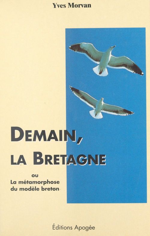 ebook cover of Demain, la Bretagne ou La métamorphose du modèle breton, by Yan Morvan