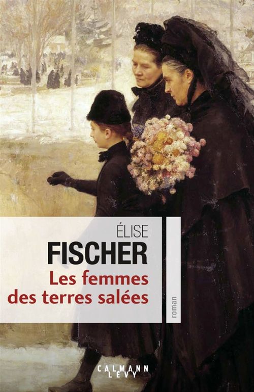 ebook cover of Les Femmes des terres salées, by Elise Fischer