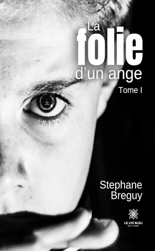 ebook cover of La folie d'un ange - Tome 1, by Stéphane Breguy