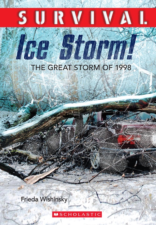 Couverture ebook de Survival: Ice Storm!, de Frieda Wishinsky