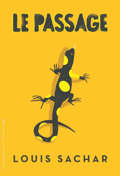 ebook cover of Le passage, by Louis Sachar