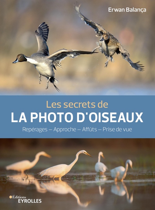 Couverture ebook de Les secrets de la photo d'oiseaux, de Erwan Balança