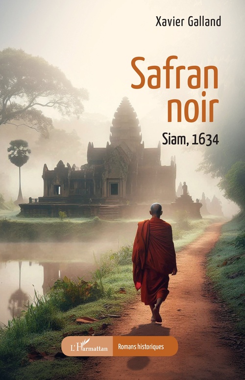ebook cover of Safran noir, by Xavier Galland