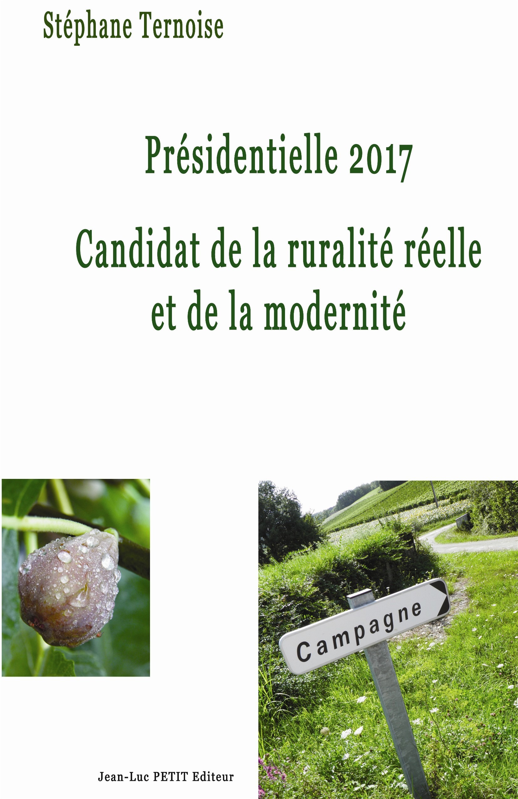 ebook cover of Présidentielle 2017 Candidat de la ruralité réelle et de la modernité, by Stéphane Ternoise