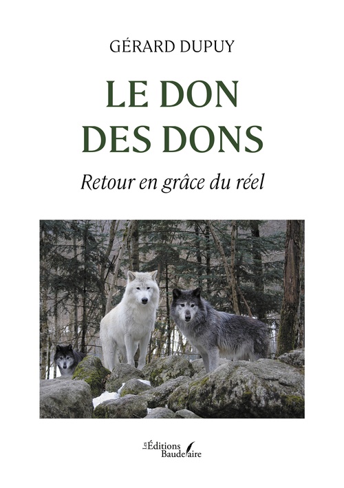 Couverture ebook de Le don des dons, de Dupuy Gérard