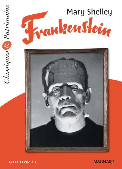 ebook cover of Frankenstein - Classiques et Patrimoine, by Mary Shelley