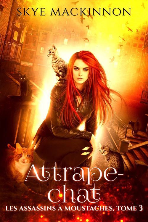 Couverture ebook de Attrape-chat, de Skye Mackinnon