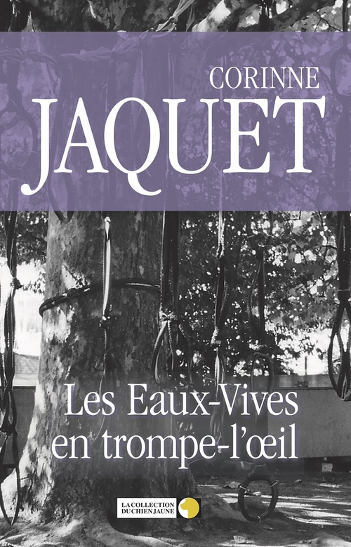 ebook cover of Les Eaux-Vives en trompe-l'oeil, by Corinne Jaquet