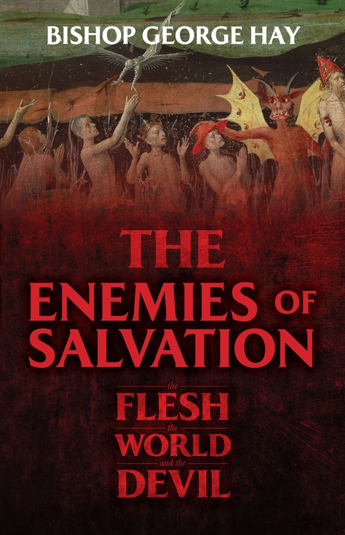 Couverture ebook de The Enemies of Salvation, de Bishop George Hay