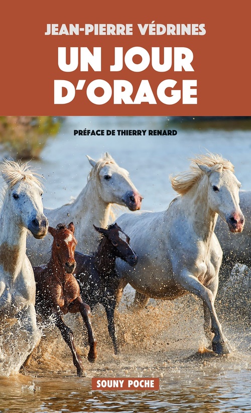 ebook cover of Un Jour d'orage, by Jean-pierre Védrines