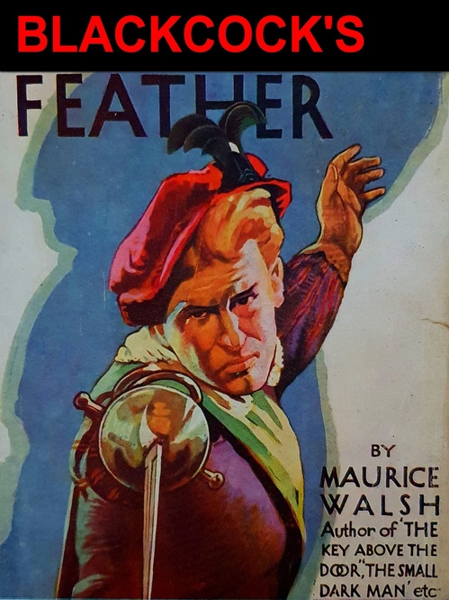 ebook cover of Blackcock's Feather, by Maurice Walsh