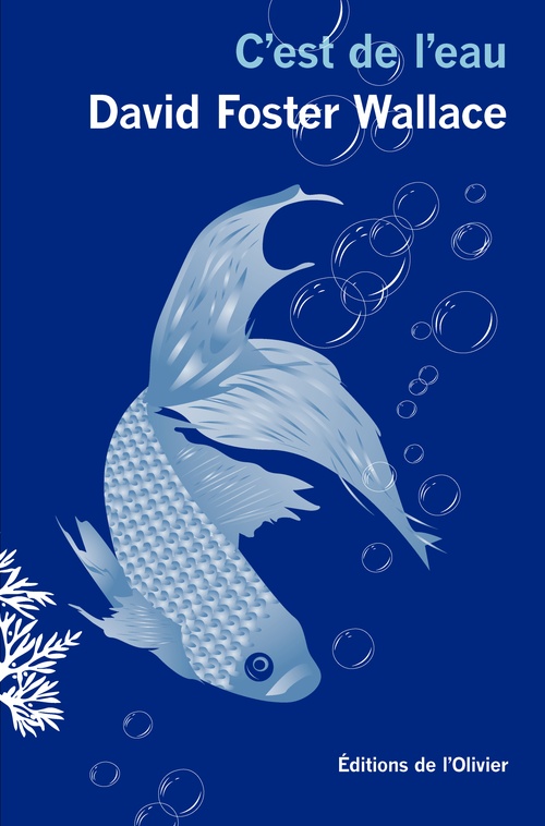 ebook cover of C'est de l'eau, by David foster Wallace