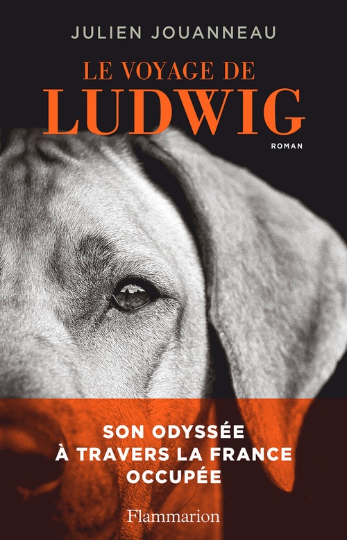 ebook cover of Le voyage de Ludwig, by Julien Jouanneau