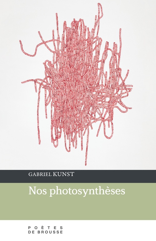 Couverture ebook de Nos photosyntheses, de Gabriel Kunst
