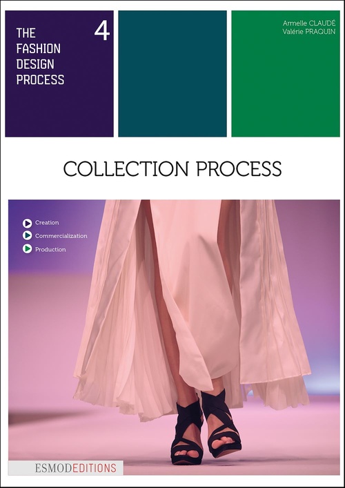 ebook cover of Collection process, by Armelle Claudé, Vale´rie Praquin