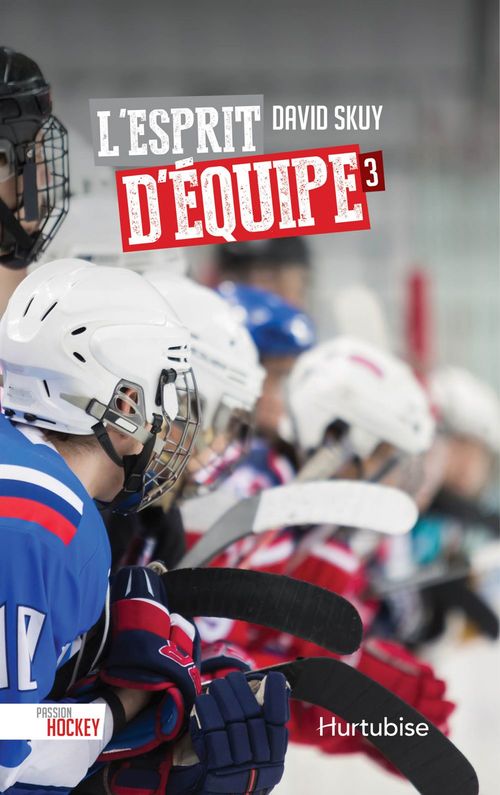 Couverture ebook de L'esprit d'équipe, de Skuy David