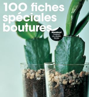 Couverture ebook de 100 fiches spéciales boutures, de Andrew Mikolajski
