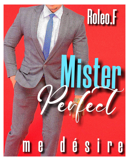 Couverture ebook de Mister perfect me désire 1 (édition française), de Roleo.F