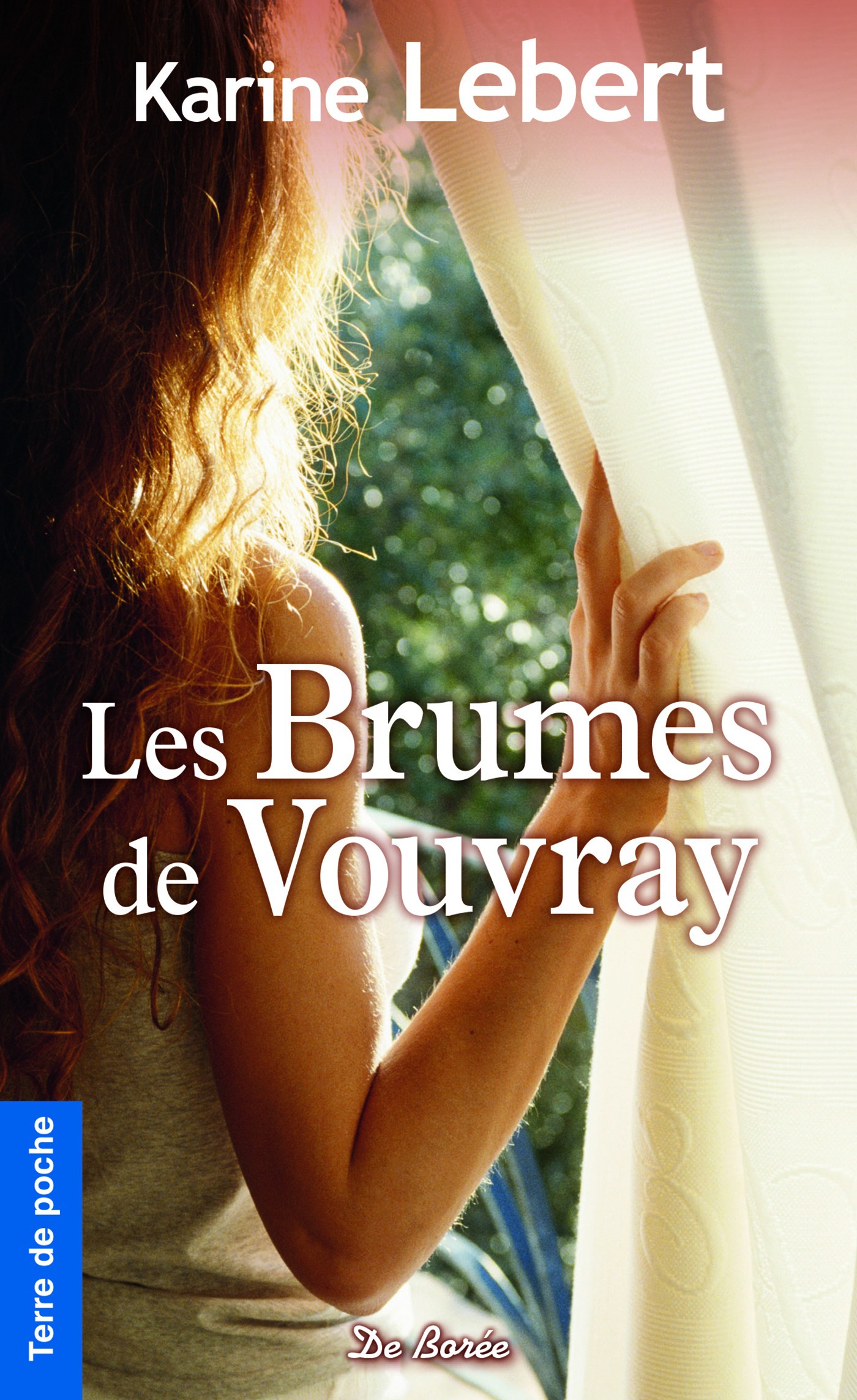 ebook cover of Les Brumes de Vouvray, by Karine Lebert