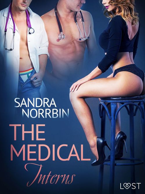 ebook cover of The Medical Interns - erotic short story, by Sandra Norrbin