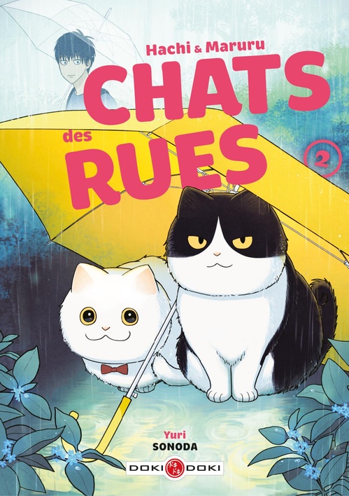 Couverture ebook de Hachi & Maruru - Chats des rues - Tome 2 - Tome 2, de Yuri Sonoda