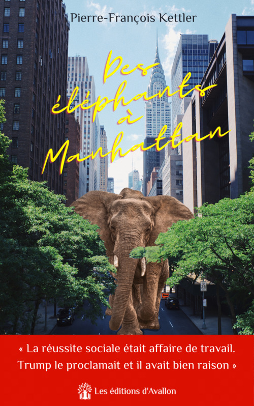 ebook cover of Des éléphants à Manhattan, by Pierre-françois Kettler