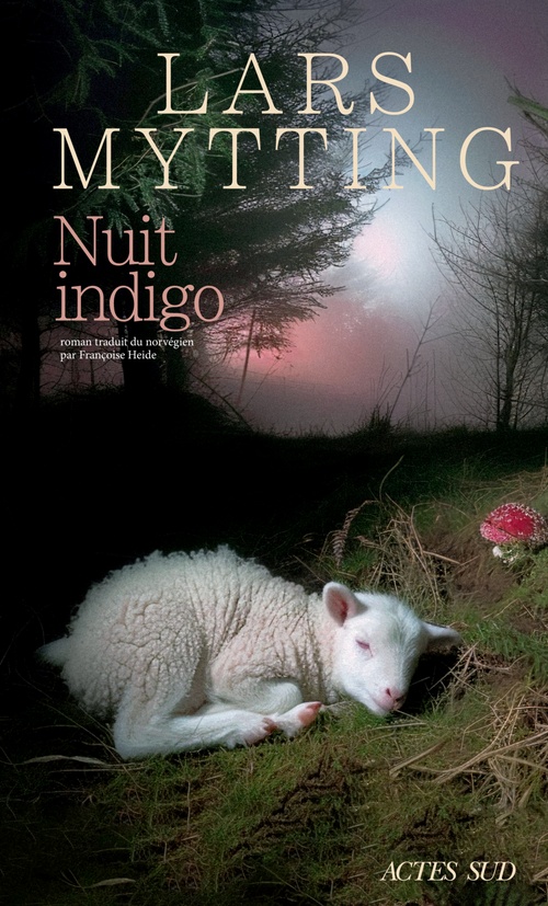 ebook cover of Nuit indigo, by Lars Mytting