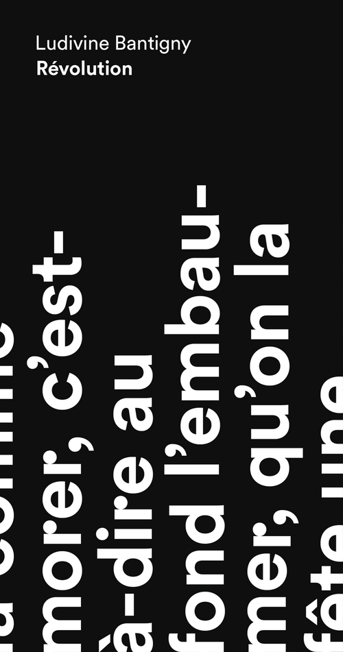 Couverture ebook de Révolution, de Ludivine Bantigny