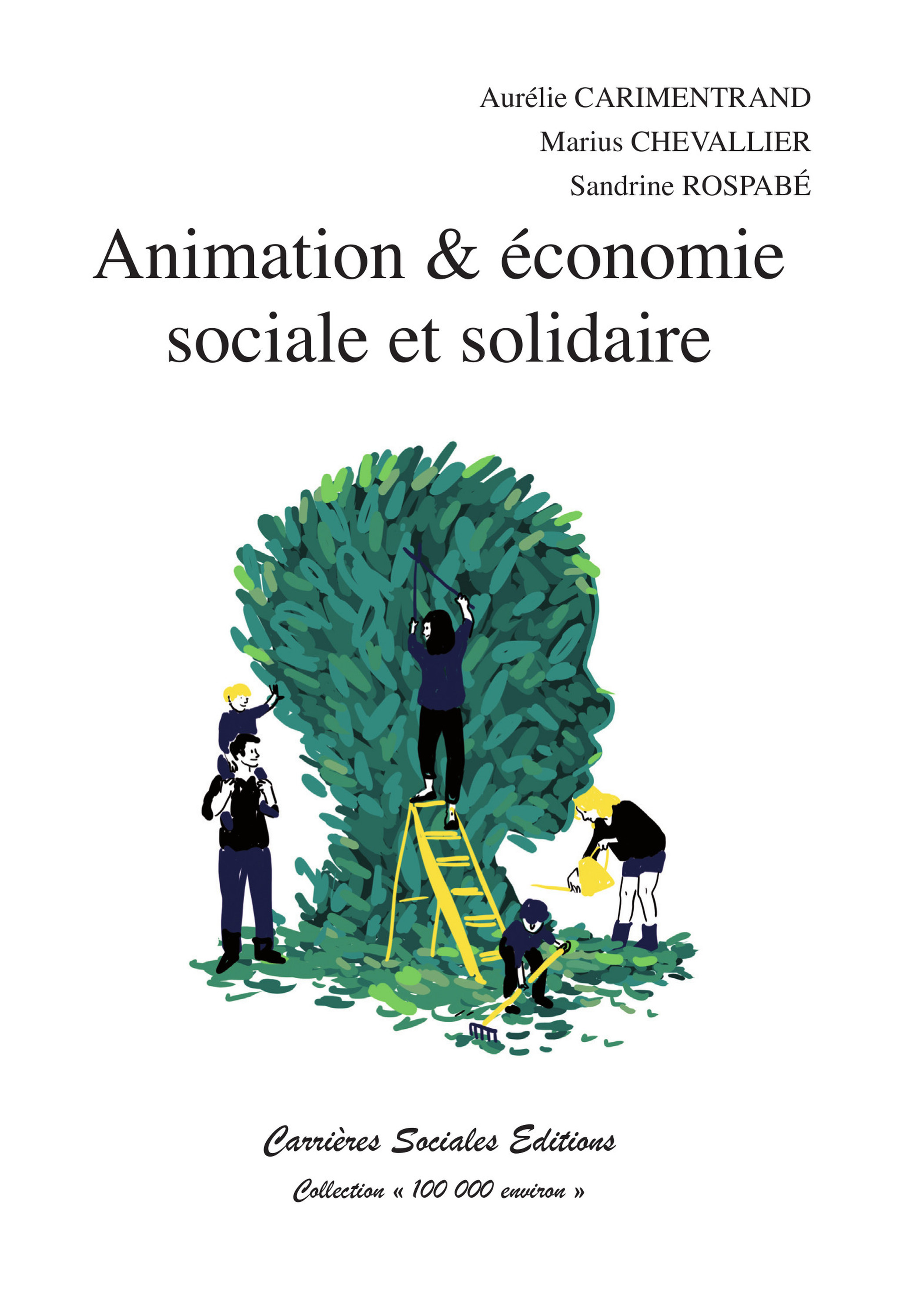 ebook cover of Animation & économie sociale et solidaire, by Aurélie Carimentrand
