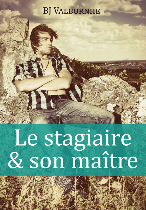 ebook cover of Le stagiaire et son maître, by Bj Valbornhe