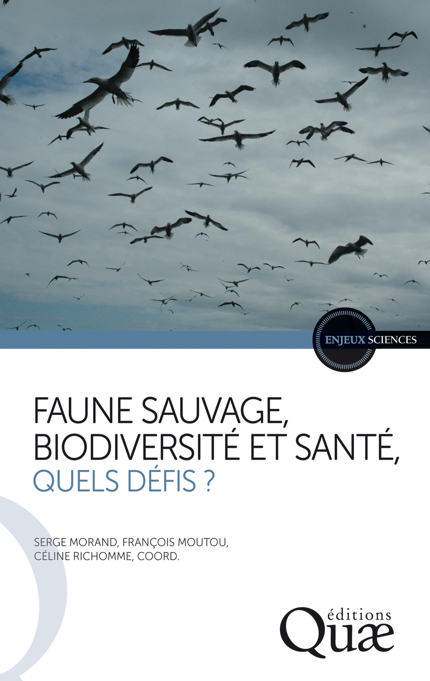 ebook cover of Faune sauvage, biodiversité et santé, quels défis ?, by Serge Morand, François Moutou