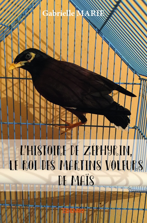 ebook cover of L´Histoire de Zéphyrin, le roi des martins voleurs de maïs, by Gabrielle Marie