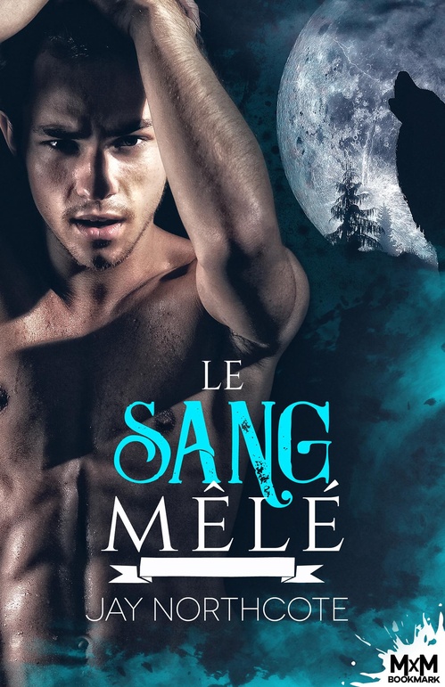 ebook cover of Le sang-mêlé, by Jay Northcote